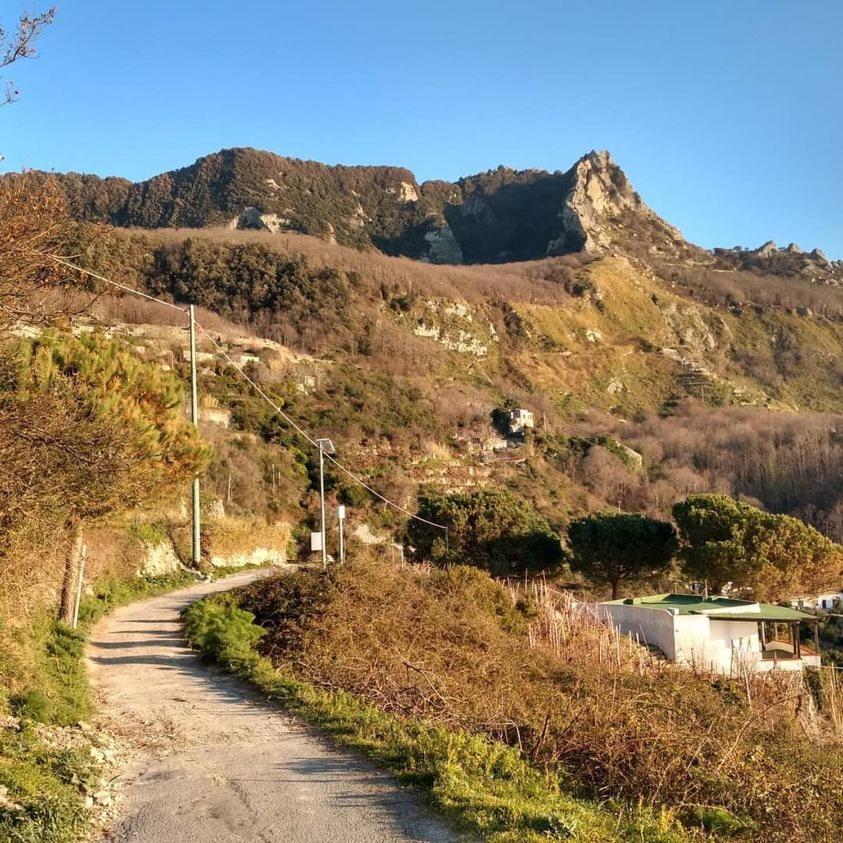 Forio di Ischia Villa Thomas Bb Conduzione Familiare מראה חיצוני תמונה