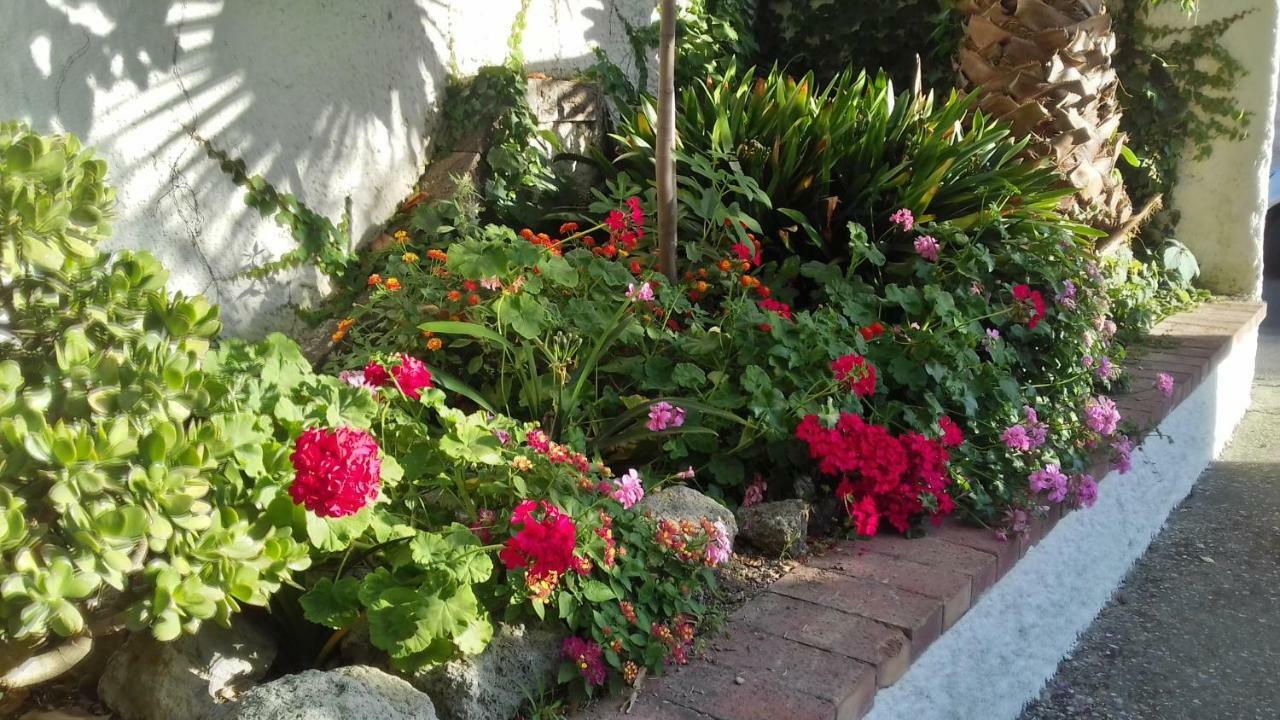 Forio di Ischia Villa Thomas Bb Conduzione Familiare מראה חיצוני תמונה
